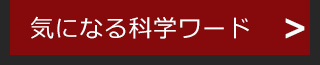 気になる科学ワード